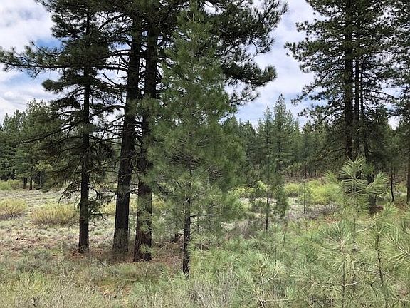 3rd image of 6062 N Iron Horse Dr