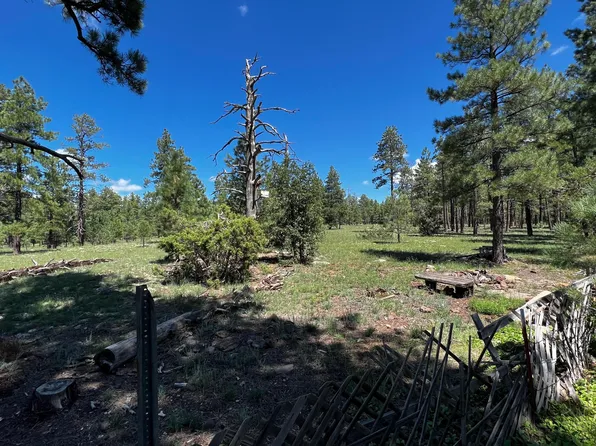 16985 SEQUOIA Drive, Munds Park, AZ 86017