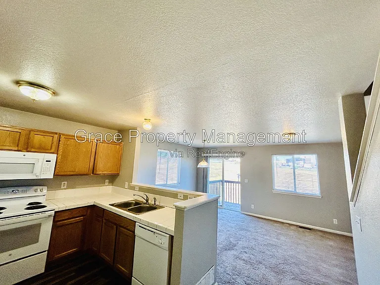 424 W 91st Cir — Photo 3