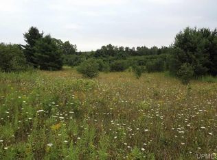 Waasa Rd, Hancock, MI 49930