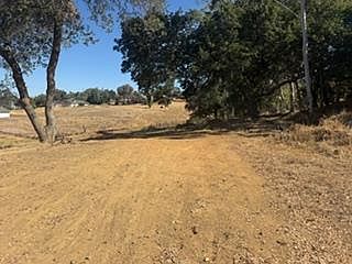 4th image of 8223 Pardini Pl