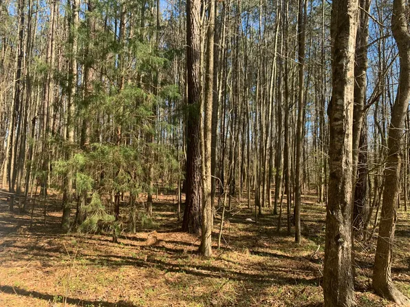 0 Alton Way, Cottageville, SC 29435