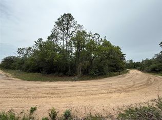 111 Brass St LOT 12, Interlachen, FL 32148