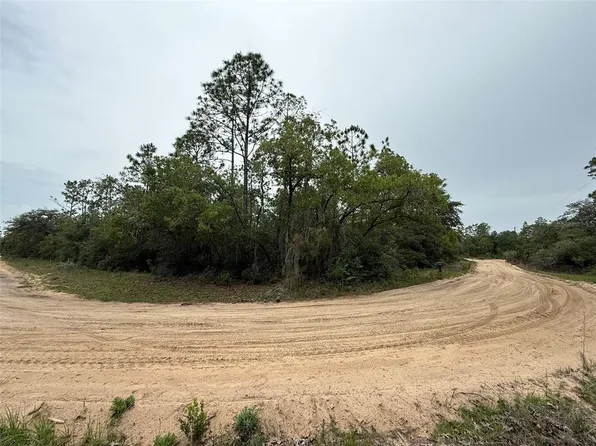 111 Brass St Lot 12, Interlachen, FL 32148