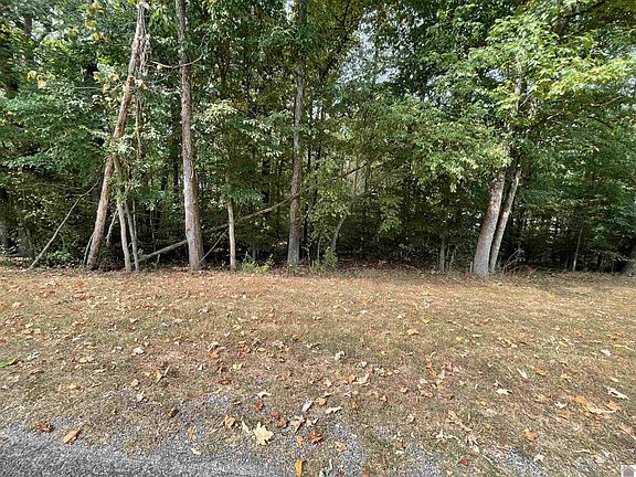 2nd image of LOT 10 O'& 11 Rockcastle Lakeshore Dr