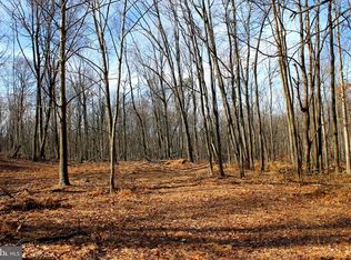 48.10 Spring Gap Rd, Slanesville, WV 25444