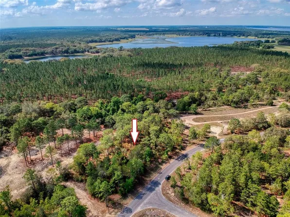 0 Guava Pass #13, Ocklawaha, FL 32179