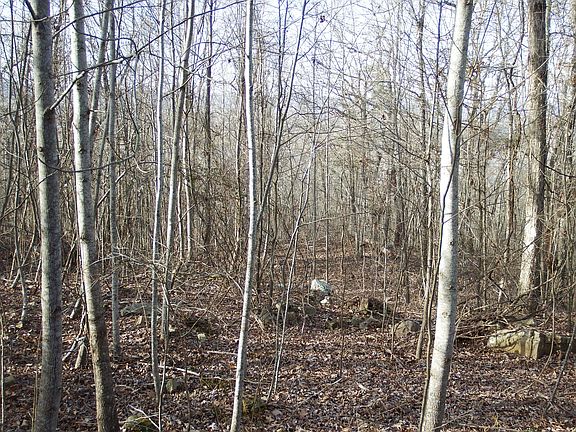 5th image of 33 Scenic Dr #33