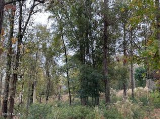 LOT 31 Button Bush Ln, Hampstead, NC 28443