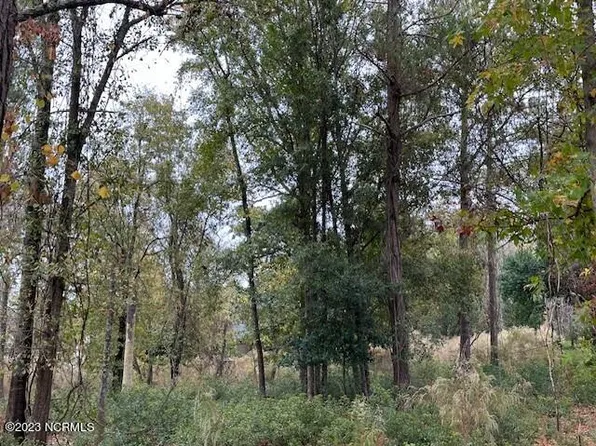 Lot 31 Button Bush, Hampstead, NC 28443