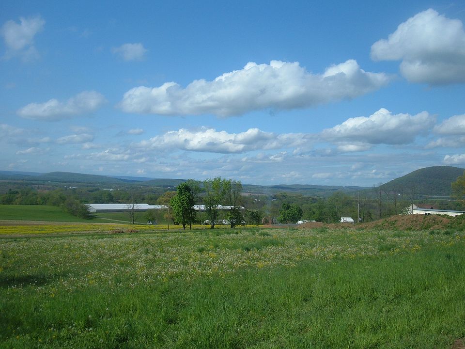 1st image of Newport