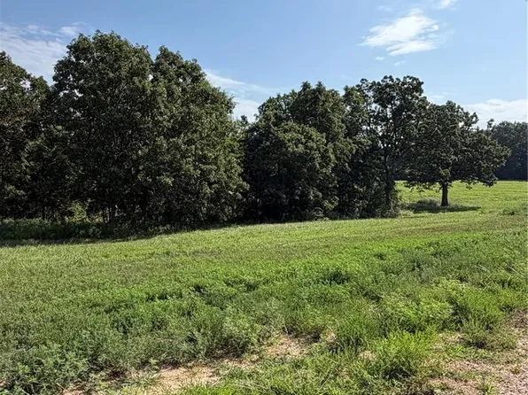 TRACT 2 Ramsey Dr, Waynesville, MO 65583