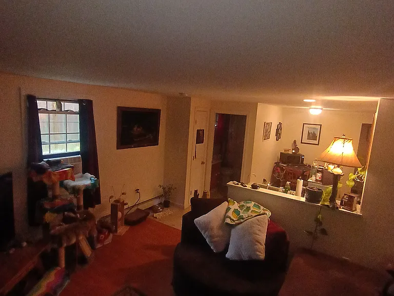 3 Alice Rd — Photo 19