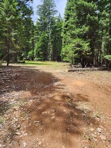 LOT 14 Pony Express Ln, Shingletown, CA, 96088