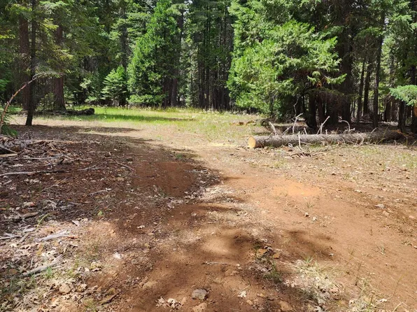 LOT 14 Pony Express Ln, Shingletown, CA 96088