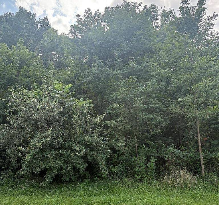 1st image of 6946 Wilderness Rd