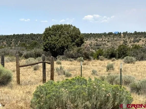 TBD Road 23, Lewis, CO 81327