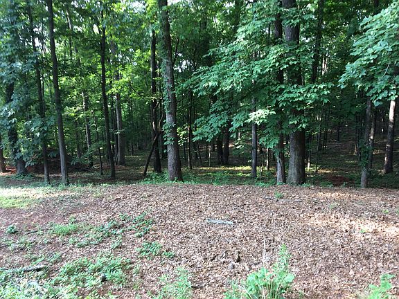 Back side of property