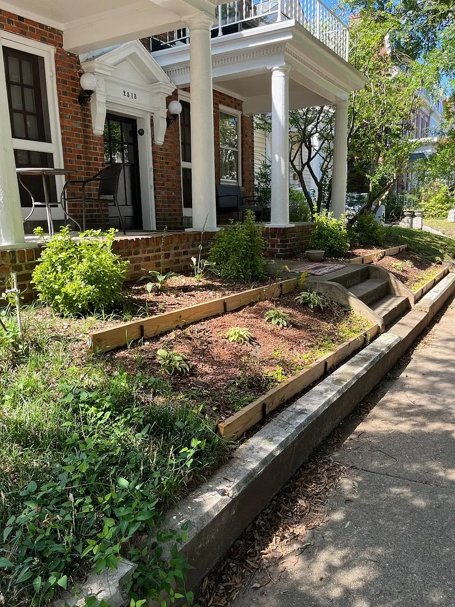 Tree lined street - 2313 W Grace St #2