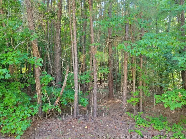 6067 Jones Cir, Sanford, NC 27332