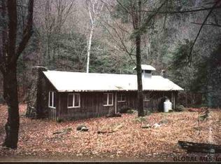 Beartown Rd, Lake Luzerne, NY 12846