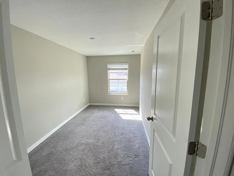 3810 Cat Mint St — Photo 12