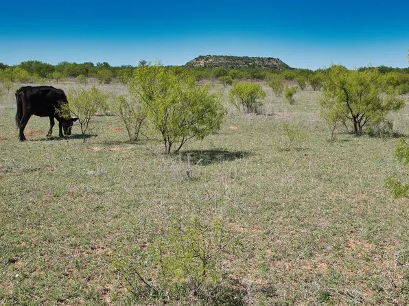 2303 Streeter Ln, Mason, TX 76856