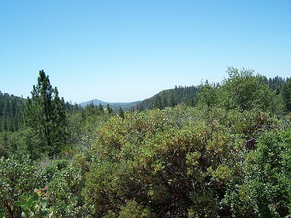 4th image of 13242 Jeabjo Way
