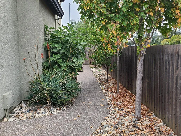Jainine St — Photo 23