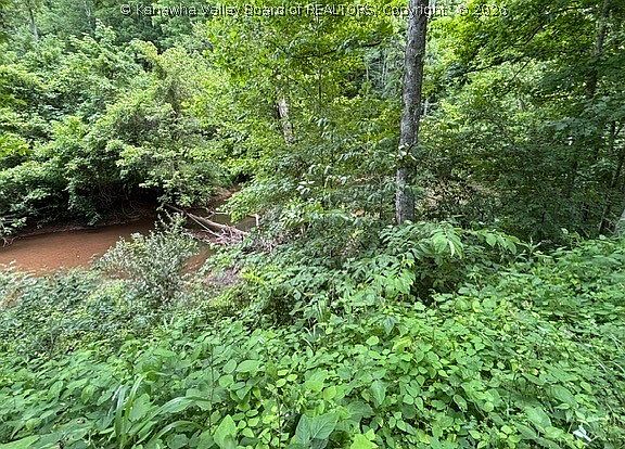 3rd image of 0 Brush Run Rd