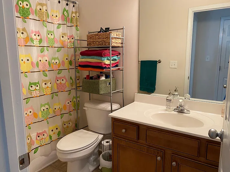 3916 Pine Ridge Way — Photo 13
