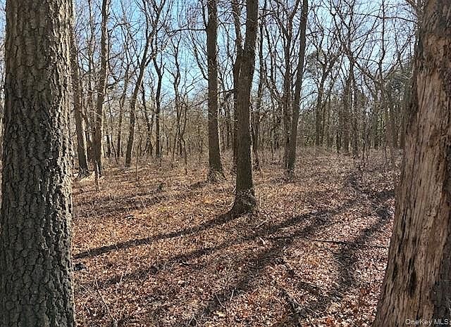 1st image of Woodlot Road