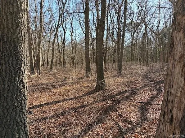 Woodlot Road, Ridge, NY 11961