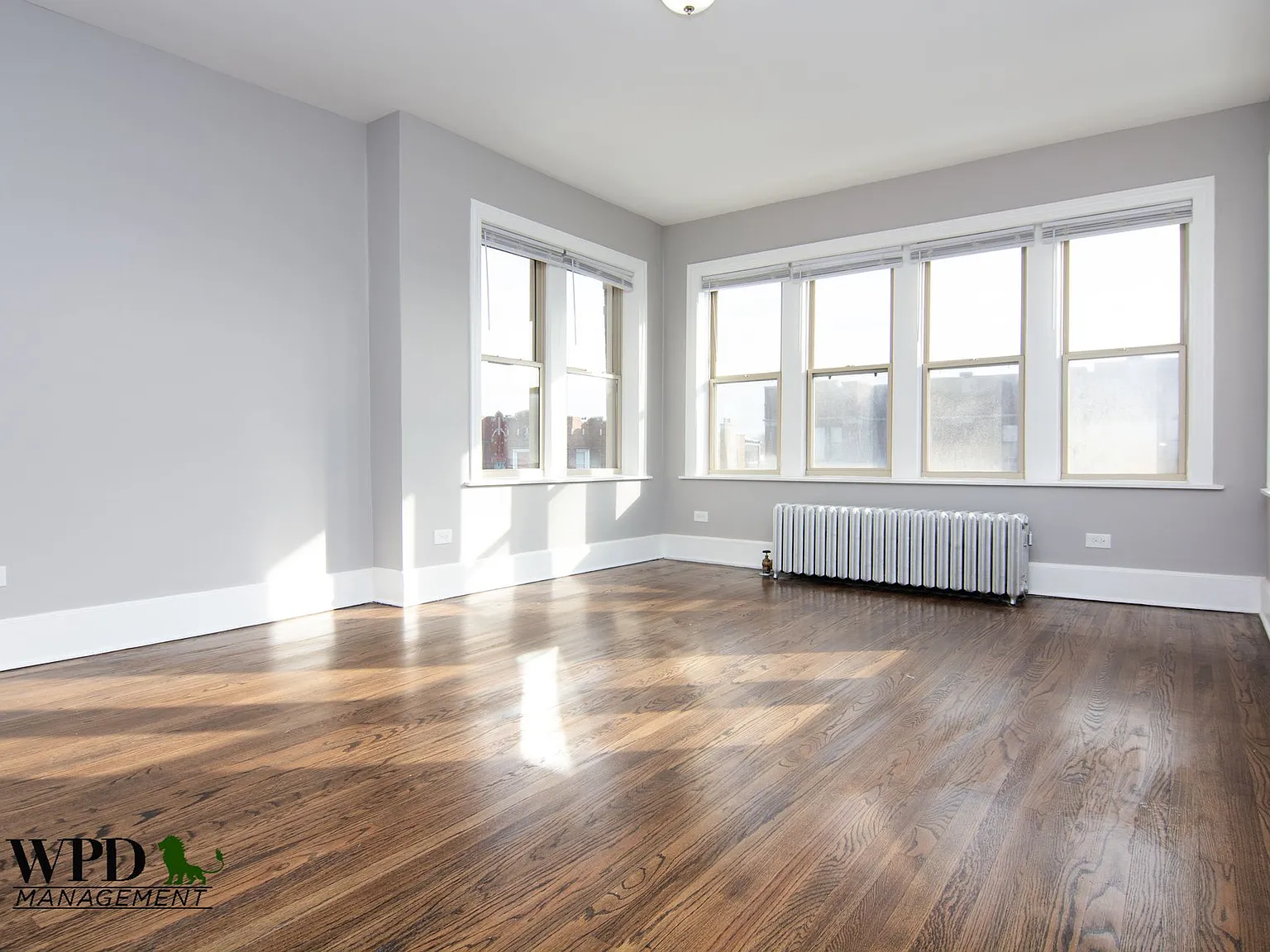 8056 S. Marshfield Ave Chicago, IL — Photo 4