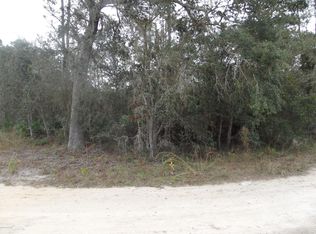 0 Lopez Ave, Interlachen, FL 32148