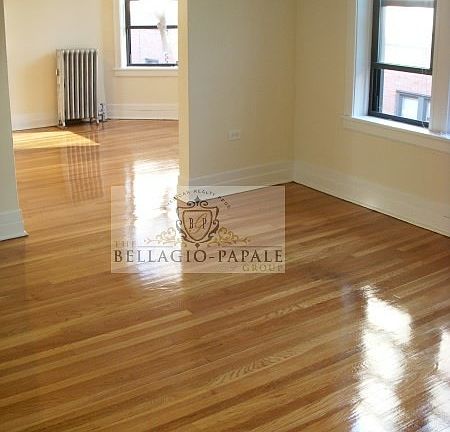 5th image of 441 W Belmont Ave #62