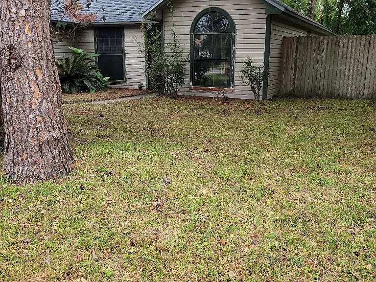 11447 Pine Acres Rd — Photo 4