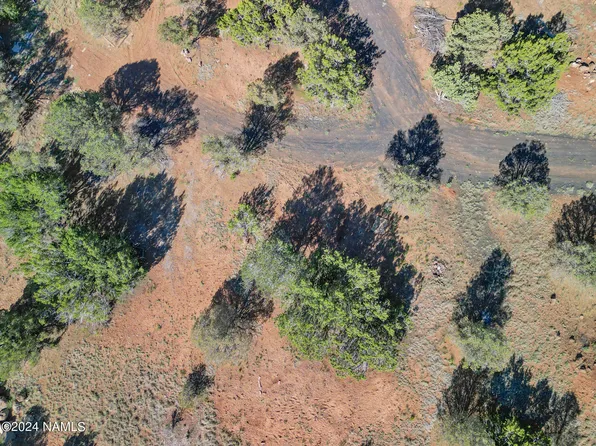 1298 E Ventura Ave #176, Williams, AZ 86046