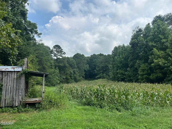 17 Pleasant View Cemetery Rd Lot 17, New Market, TN 37820