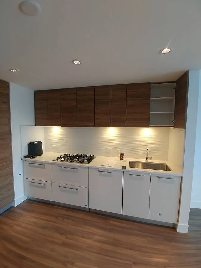 1 bed, 610 sqft, $2,350 — Photo 4