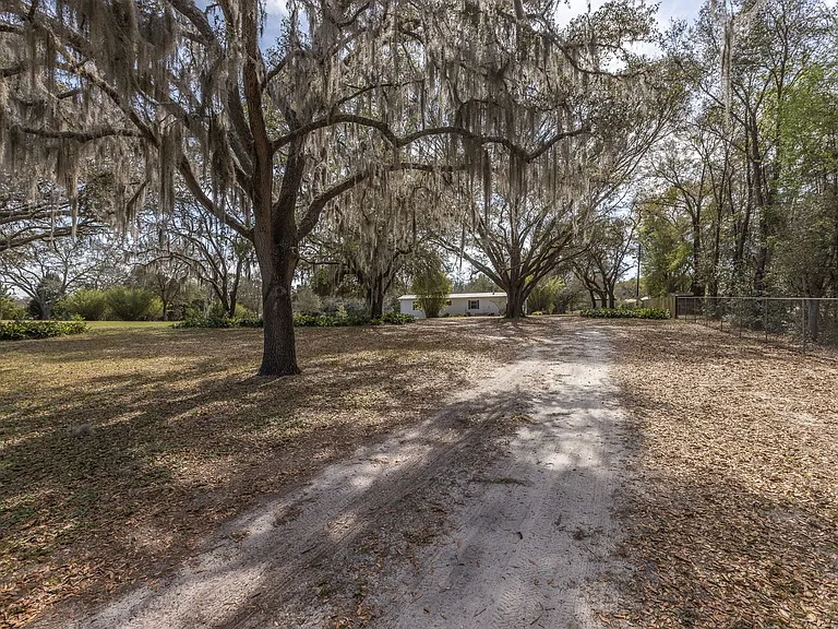 1824 Marion County Rd — Photo 16