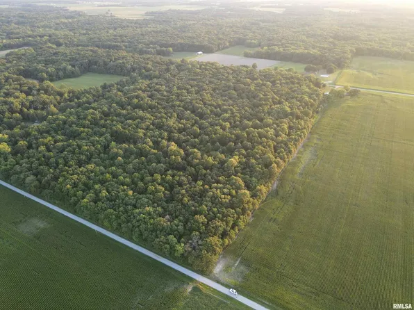 0 Aussieker Rd, Alma, IL 62807