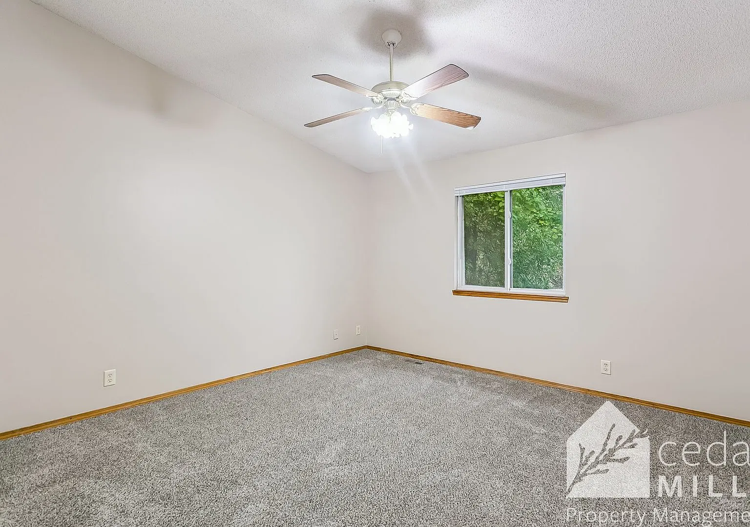Derby Twin-home!! — Photo 4