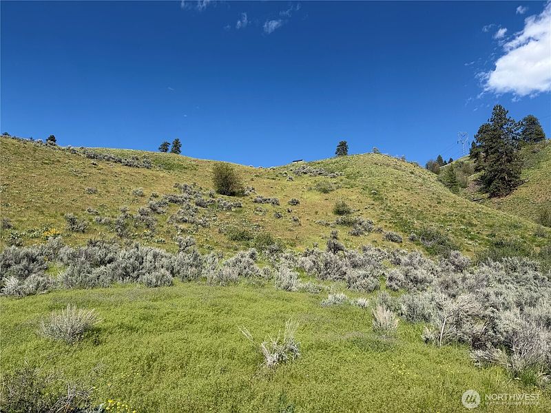 2nd image of 0 Tyee View Loop