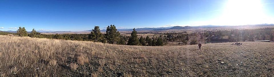 View from back pasture.