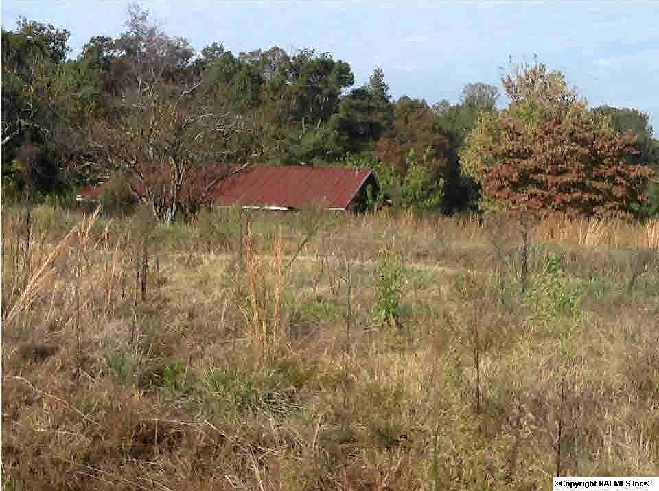 2nd image of 425 Pankey Dr