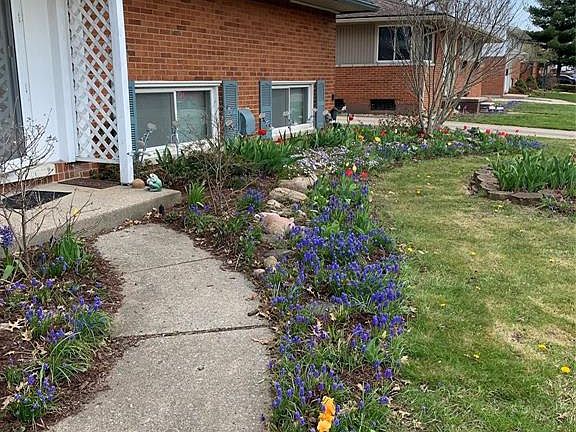 3rd image of 11753 Chattman Dr