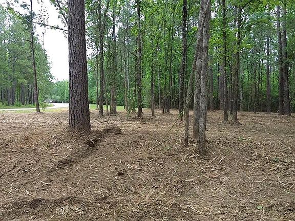 2nd image of 63168 Chappepeela Ridge Rd