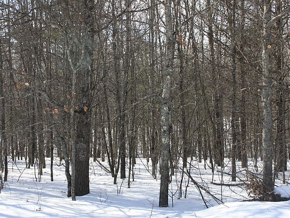 3rd image of On West Rapids Rd