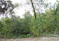 1st image of 1876 Catalina Blvd